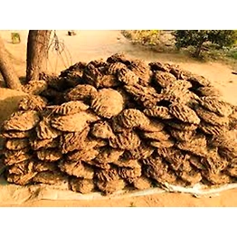 Dung Cakes