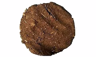 Dung Cakes