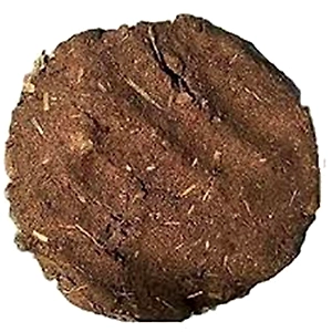 Dung Cakes