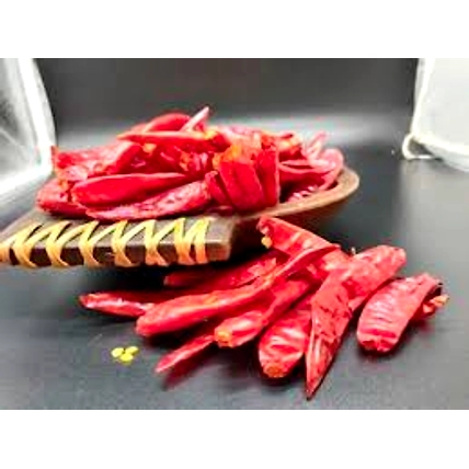 Red Chilli Whole-12698615