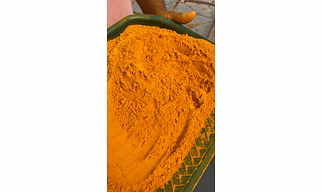 Turmeric Powder