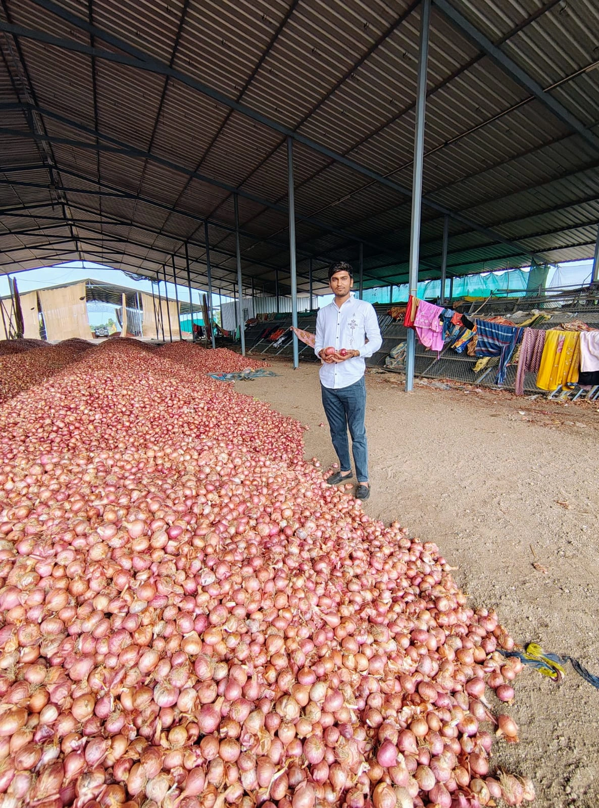 NASIK FRESH RED ONION-6