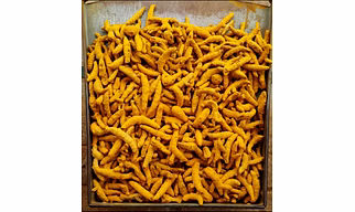 Turmeric Finger