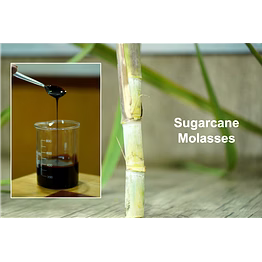 molasses