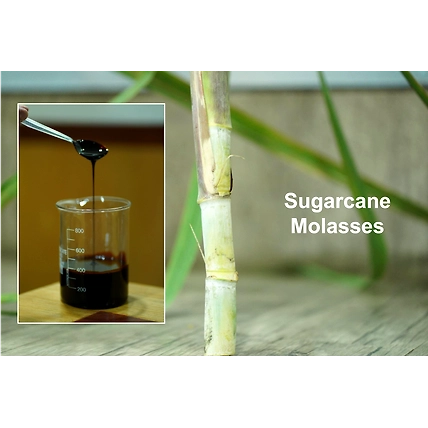 MOLASSES-4