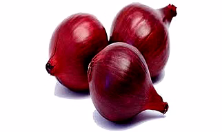 The Best Quality Red Onion Exporters in India