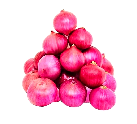 The Best Quality Red Onion Exporters in India