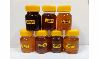 organic raw honey