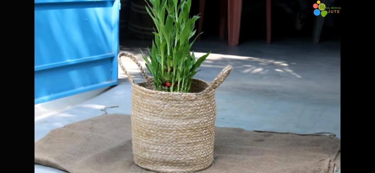 Jute tree planter-3