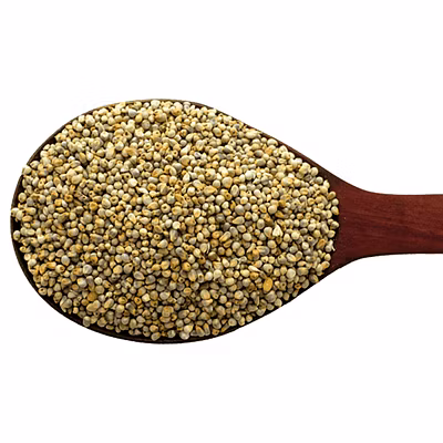 Pearl Millet (Bajra)-12633648