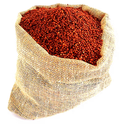 finger Millet