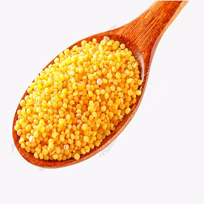 Foxtail Millet