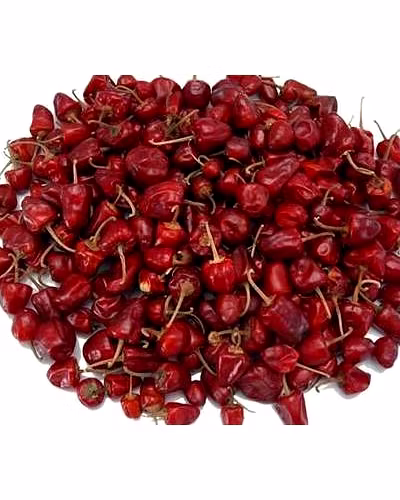 Dry Red Chillies / Powder-8