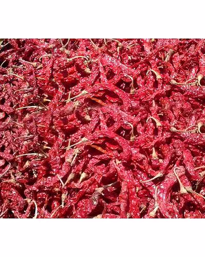 Dry Red Chillies / Powder-2