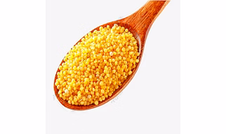 Foxtail Millet
