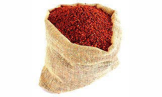 Finger Millet (Ragi )