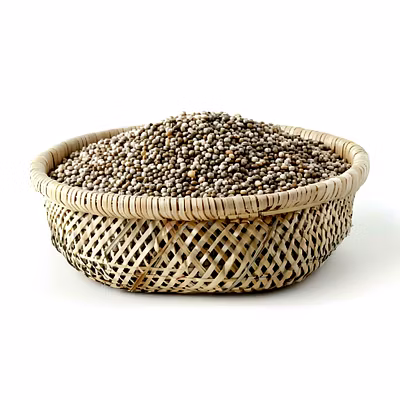 Pearl Millet (Bajra)-2