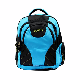 laptop bag for men and women
