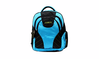 Laptop bag for men and women