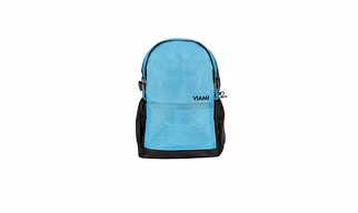 college backpack