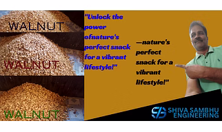 Kamaliya Walnut - Dry Fruit