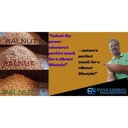 Kamaliya Walnut - Dry Fruit-12636242