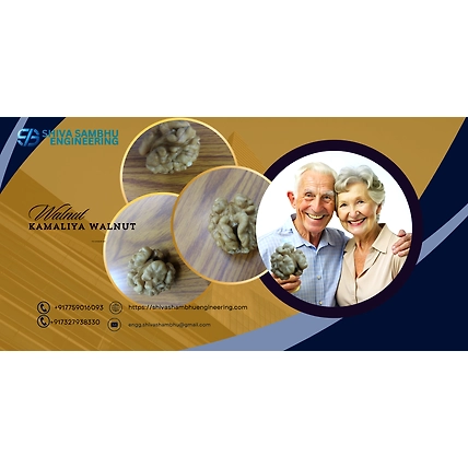 Kamaliya Walnut - Dry Fruit-2