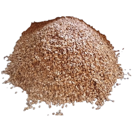 Kamaliya Walnut - Dry Fruit-4