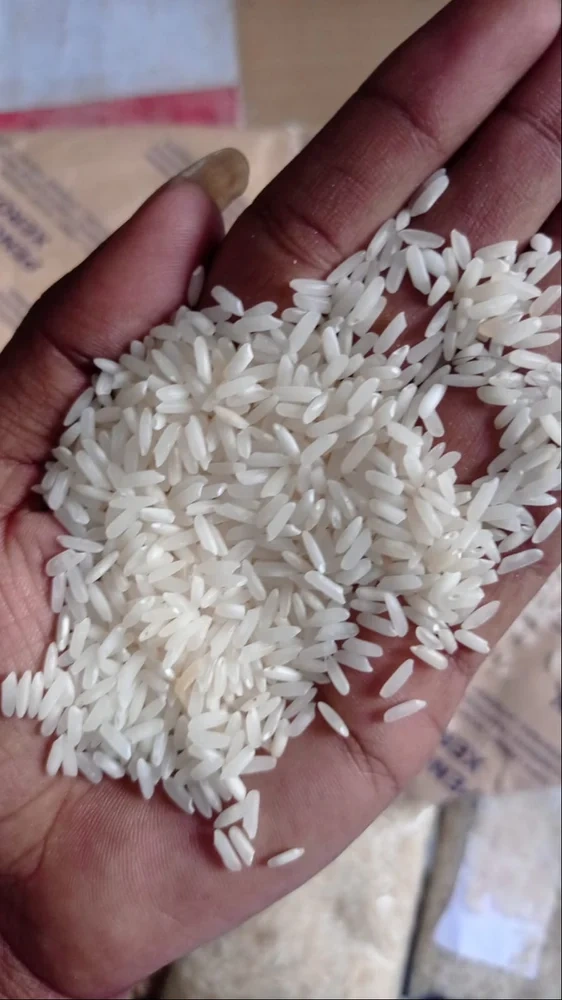 IR64 Parboiled Rice-2