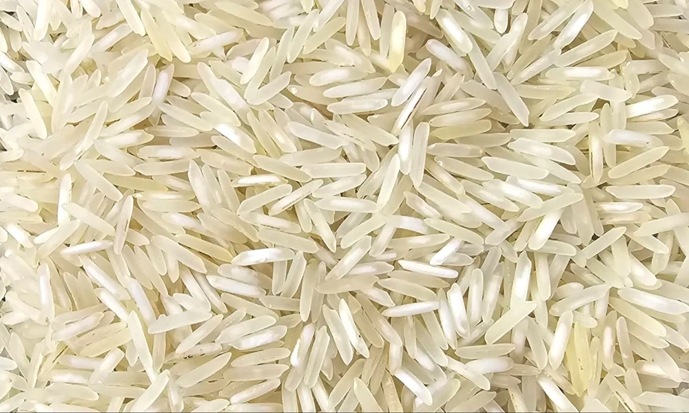 Steam Rice-3