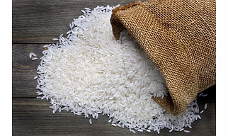 Jasmine Rice