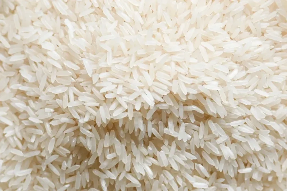 Jasmine Rice-2