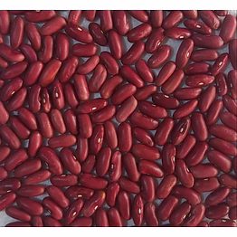 kidney beans