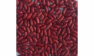 Kidney Beans