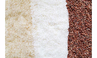 RICE