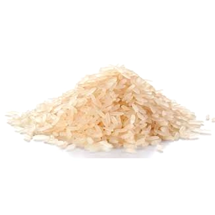 RICE-2