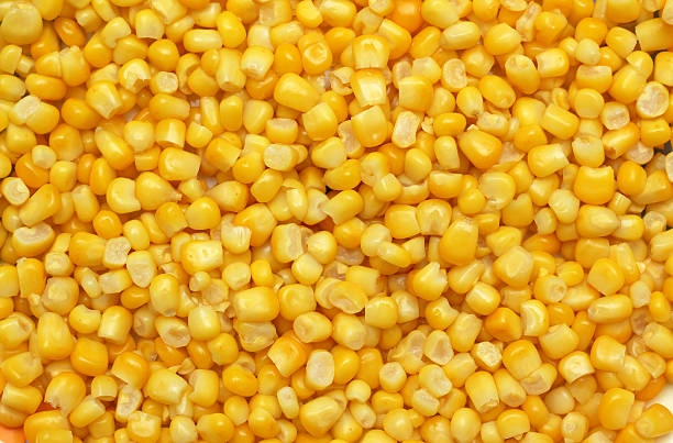 MAIZE-3