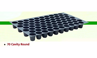Seedling Tray 70