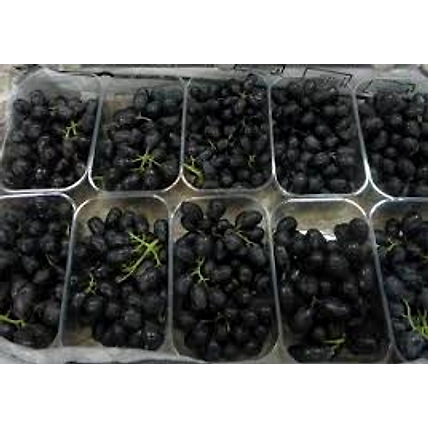 Fresh Grapes - Green, Red, Black-3