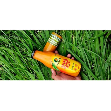 Organic Keshar Mango Pulp-2