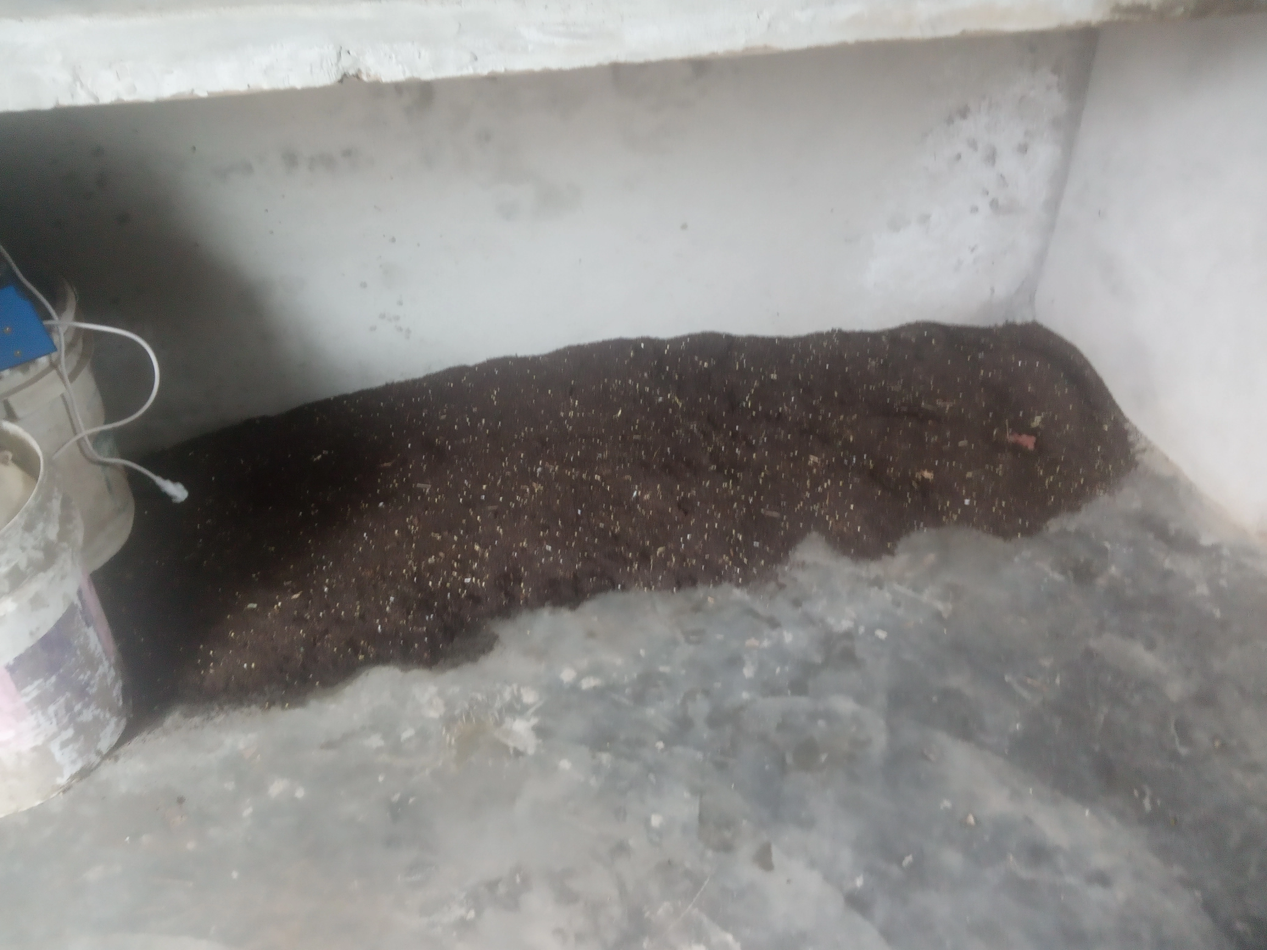 TARA  Vermicompost-2