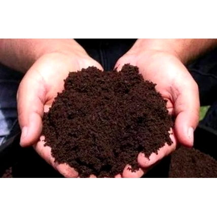 vermicompost-5