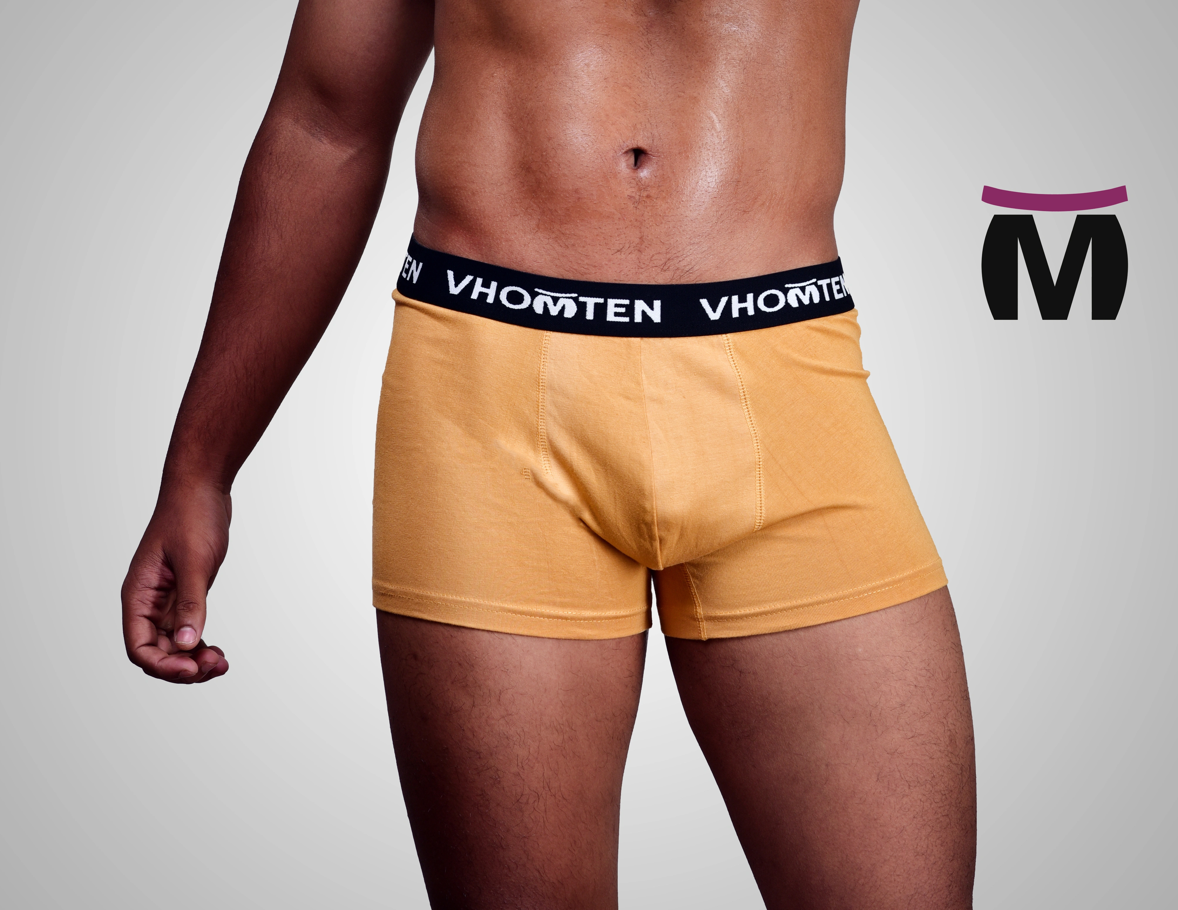 Mens Underwear (Vhomten)-2