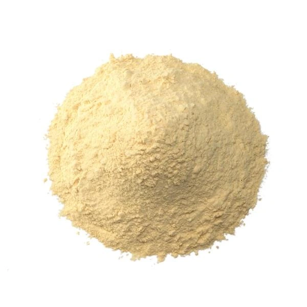 Garlic Powder-2