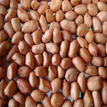 Ground Nuts Peanuts-1