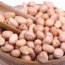 Ground Nuts Peanuts-2