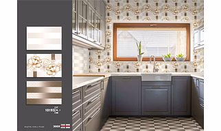 Elegant Designs for Kitchen Tiles