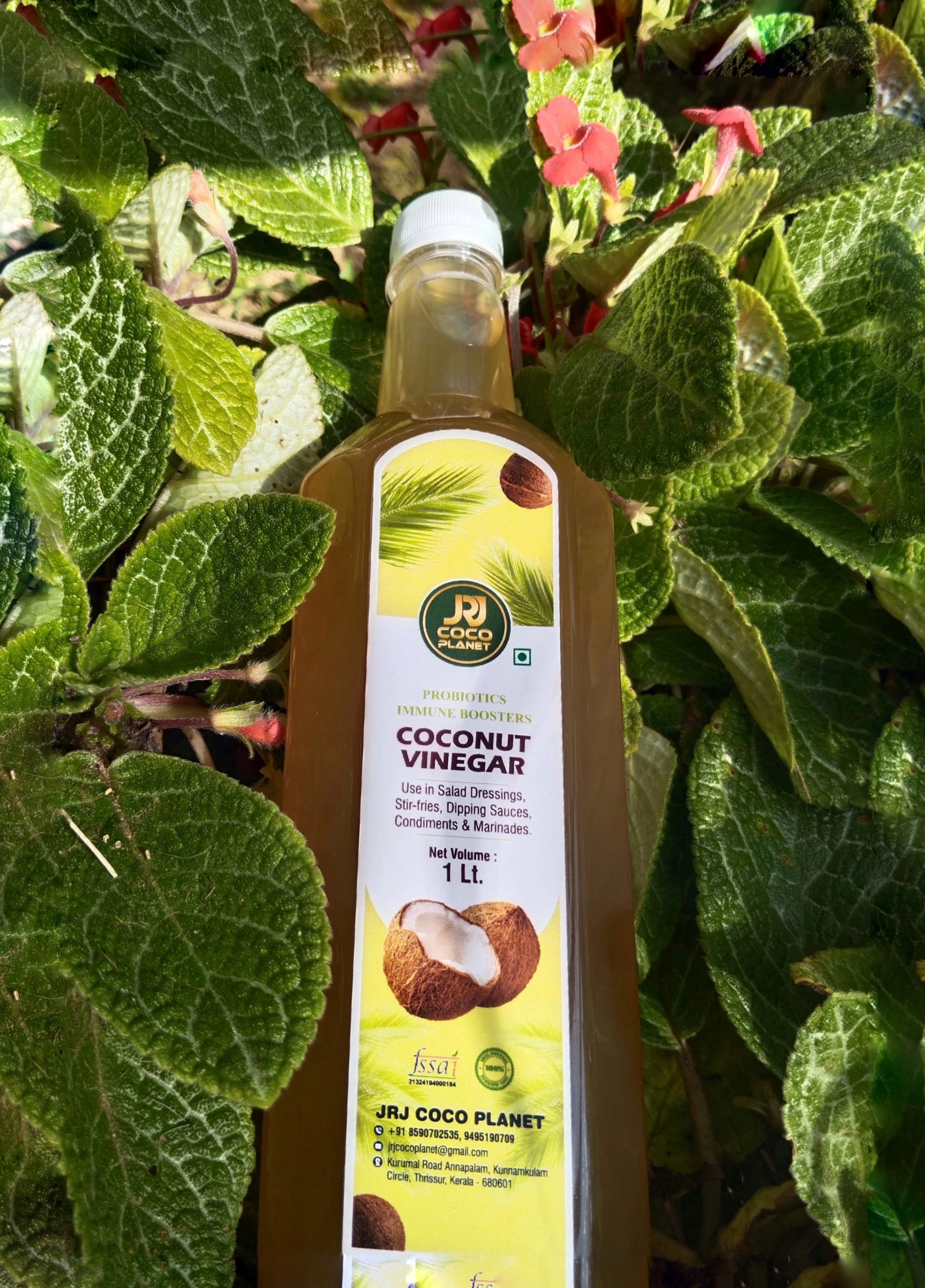 Natural coconut vinegar-12637484