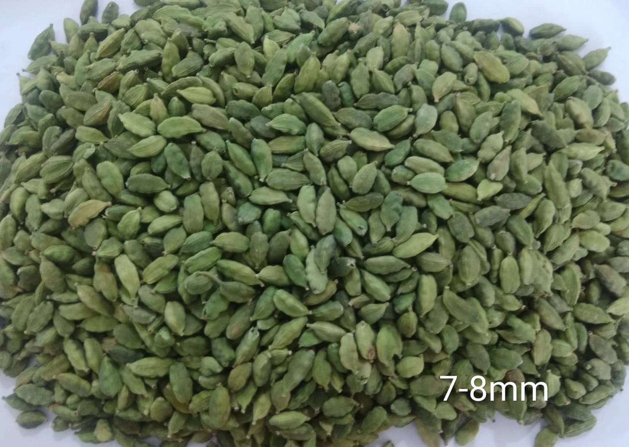 Cardamom-1