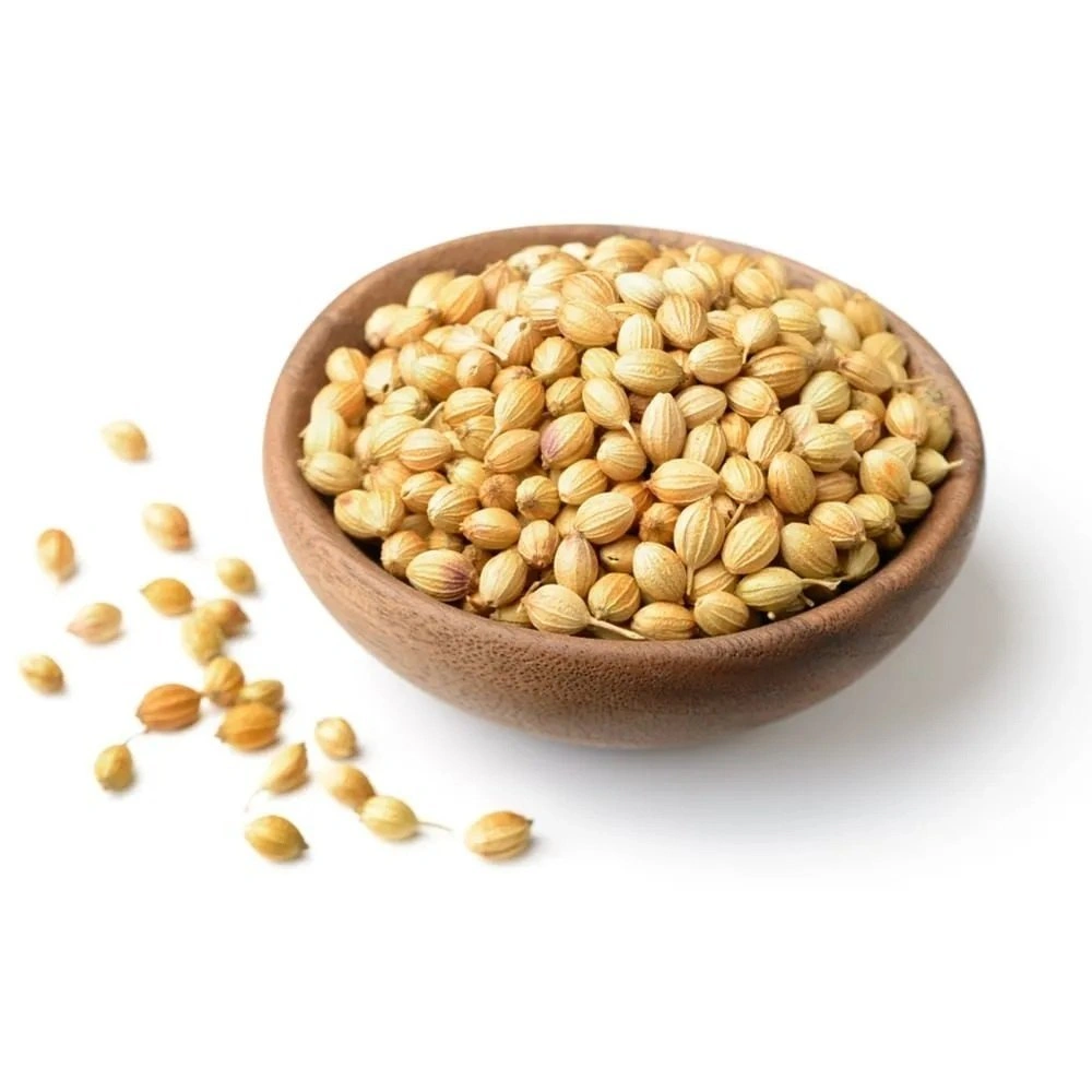 Coriander-12649213